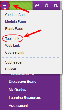 Course menu with plus button circled and tool link circled from the drop down menu