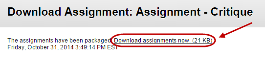 click on download assignment now