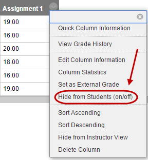 click on hide from students on/off link
