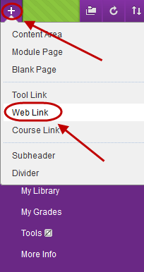 Drop down menu with Web Link Circled