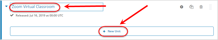 Subsection name textbox and + New Unit button circled