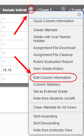 edit column informaiton