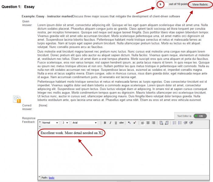 Student essay response with the score text box circled, the view rubric button circled and the response feedback text box circled