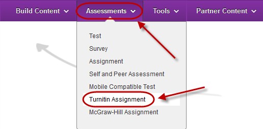 can you use turnitin for yourself