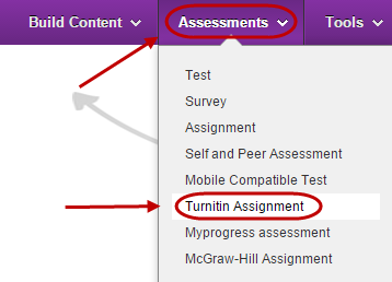 turnitin revision assignment