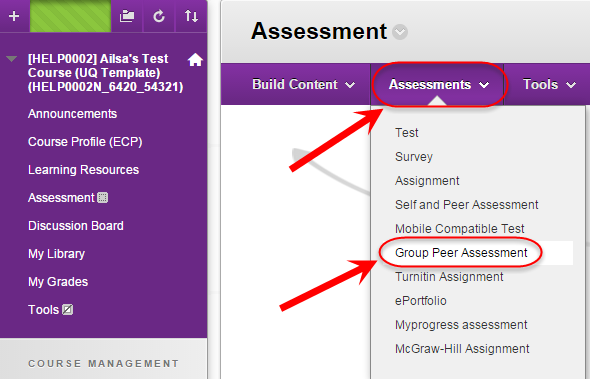 Assessment / Group Peer Assessment