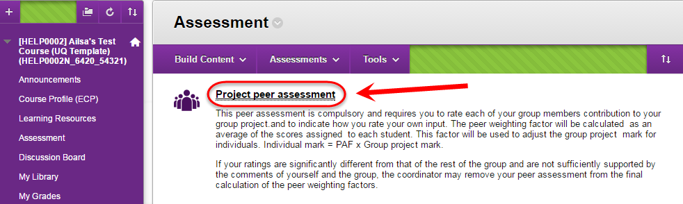 Group peer assessment link