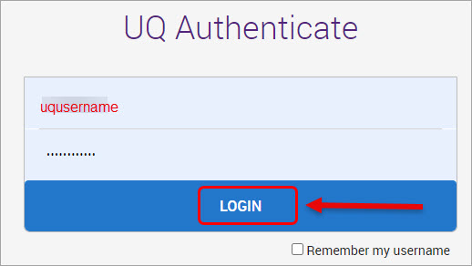 Authentication window with Login button