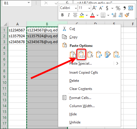Paste value circled