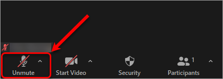 unmute