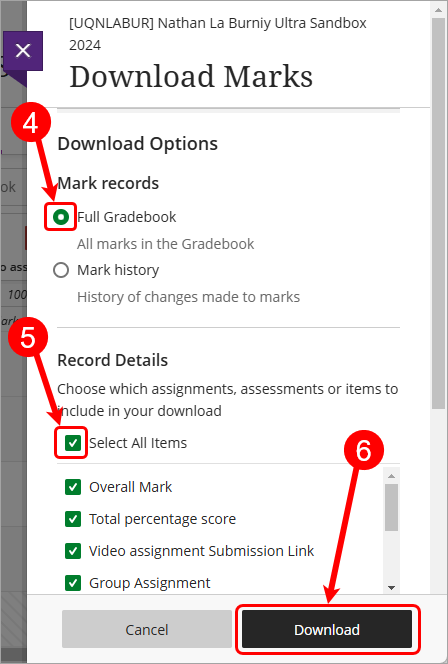 Steps 4 - 6 circled