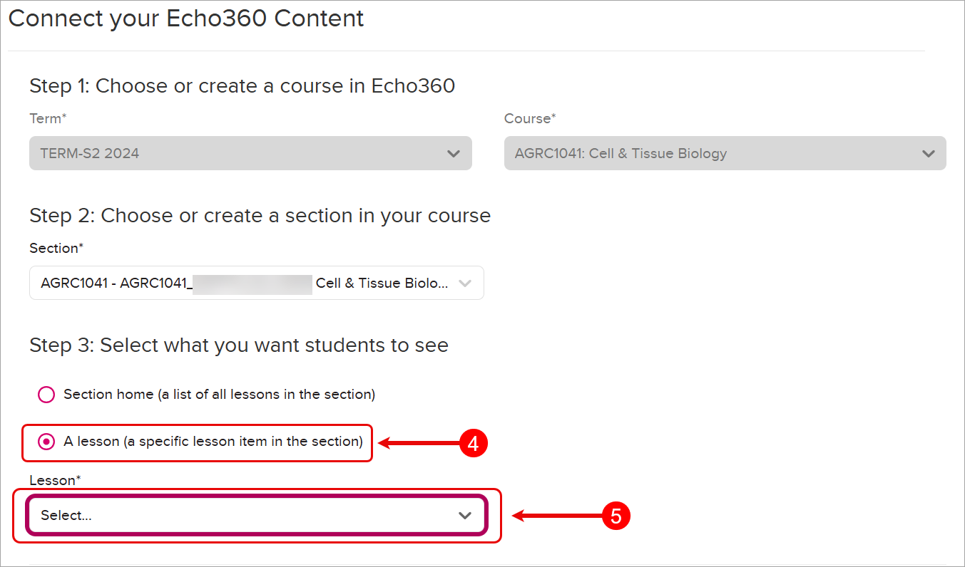 Step 4&5 circle