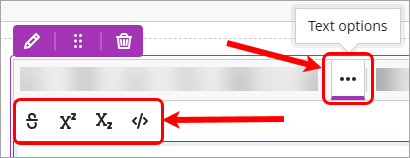 Text options, strikethrough, superscript, subscript and code snippet buttons circled