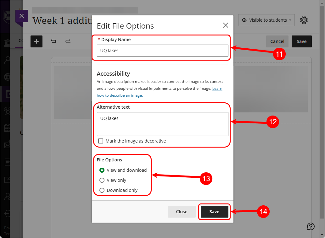 Steps 11 - 14 circled