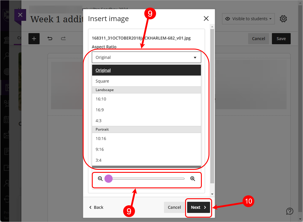 Steps 9 and 10 circled