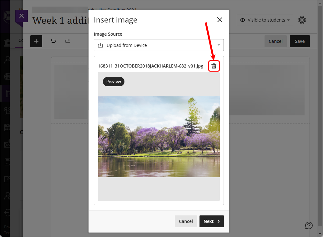 Remove upload (trash can) button circled