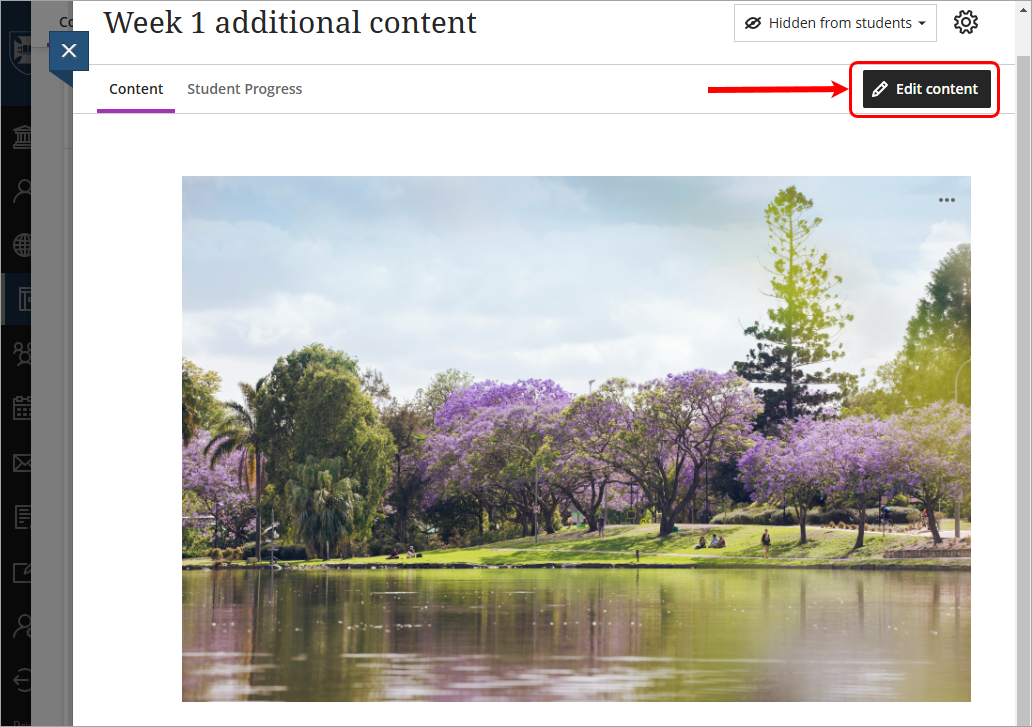 Edit content button circled
