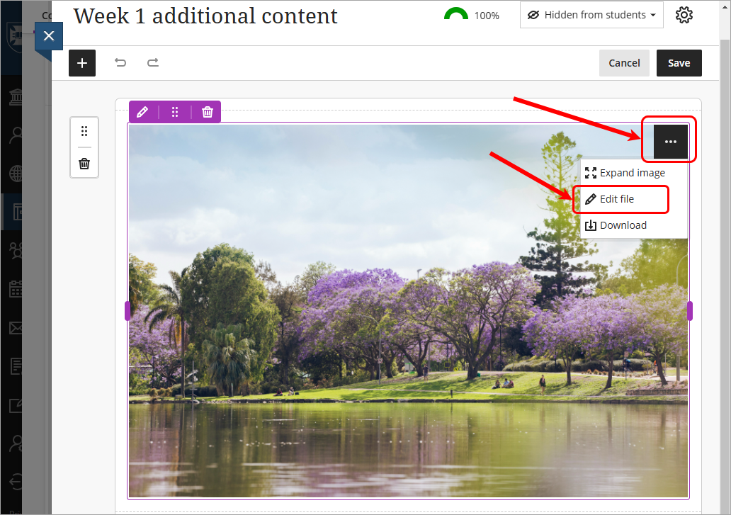 More options for image elipsis button and Edit file in drop-down lists circled