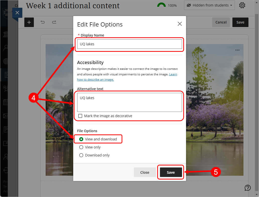 Steps 4 and 5 circled