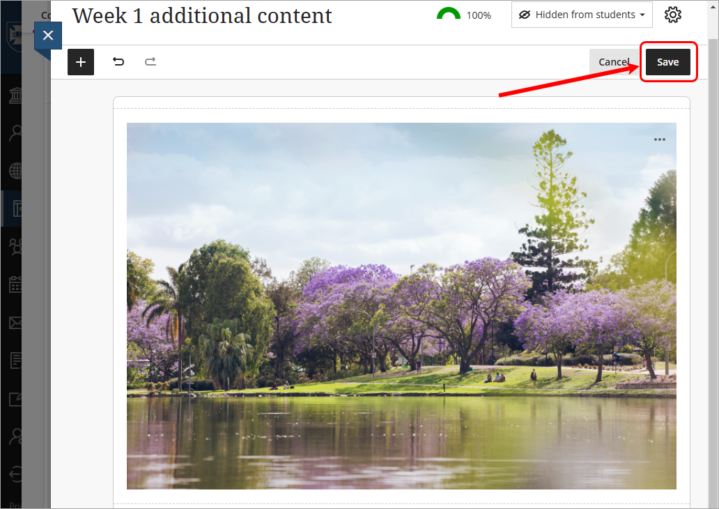 Save button circled
