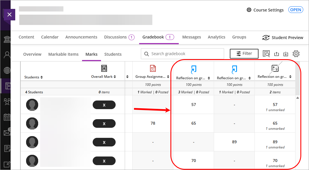 Turnitin and Maximum columns circled
