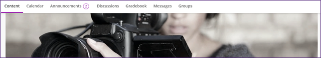 Ultra navigation bar