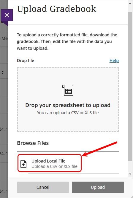 Upload local file button circled
