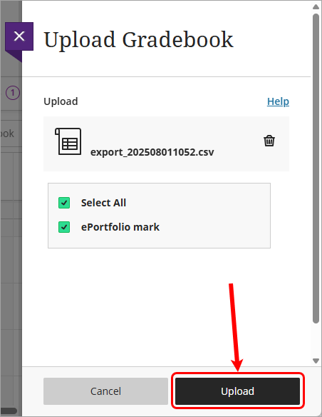 Upload button circled