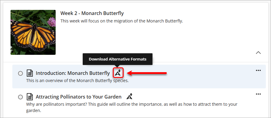 alternative formats icon highlighted