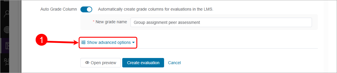 Show advanced options circled