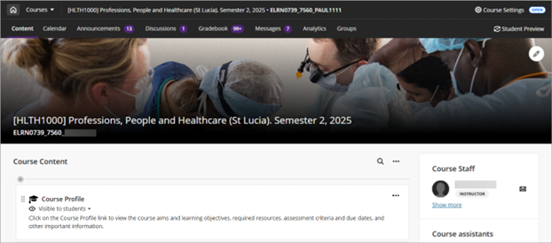 screenshot of new Blackboard course site banner