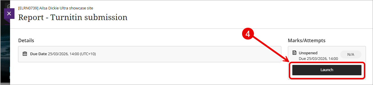 Click the launch button