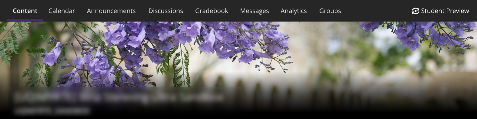Ultra course navigation bar and banner image