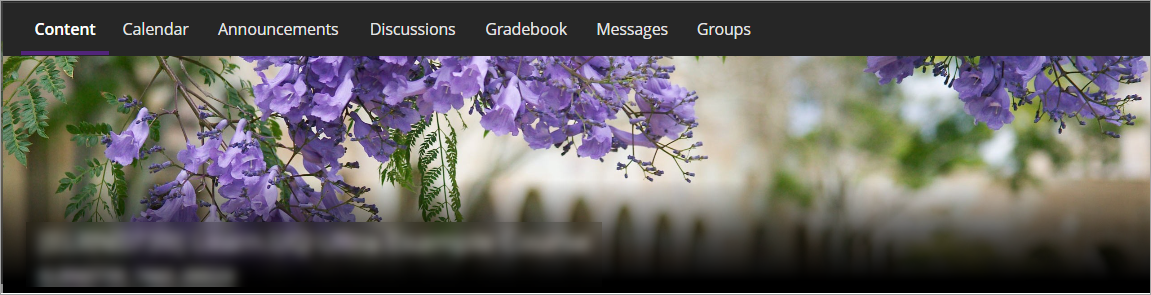 Ultra navigation bar