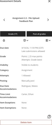 Assessment details panel