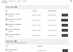 Overview tab