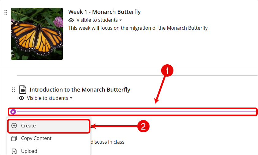 add content and create button higlighted