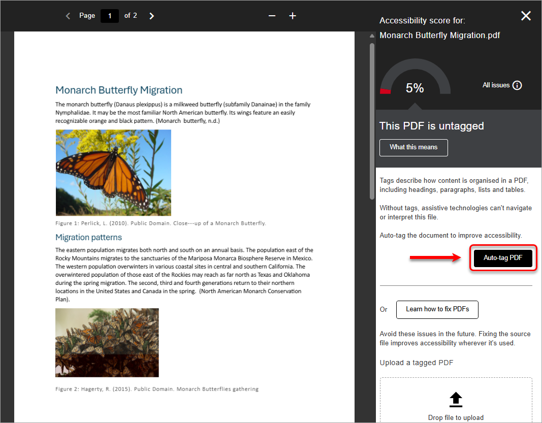 auto-tag PDF button highlighted