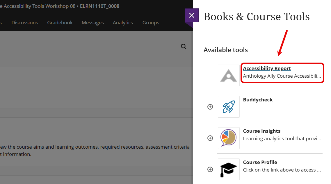 Accessibility Report link highlighted