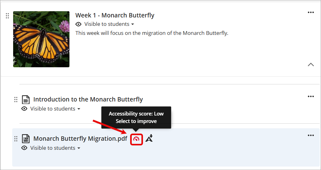 accessibility score icon is highlighted