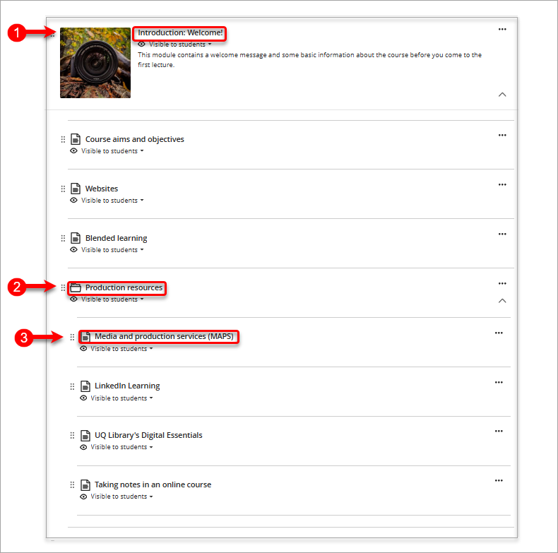 Screenshot of simple course structure for Learn.UQ