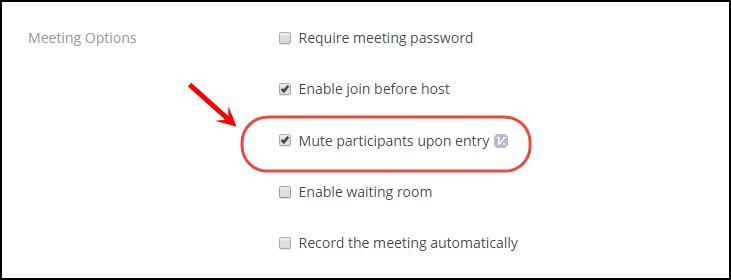 Mute participants on entry