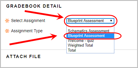 Gradebook detail section with the select assignment drop down box and the desired assignment circled.