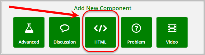 html button selected