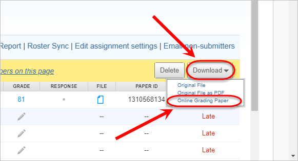 Download button and Online grading paper circled