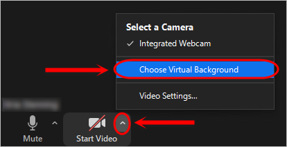 choose virtual background