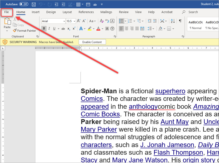 file selected in word document