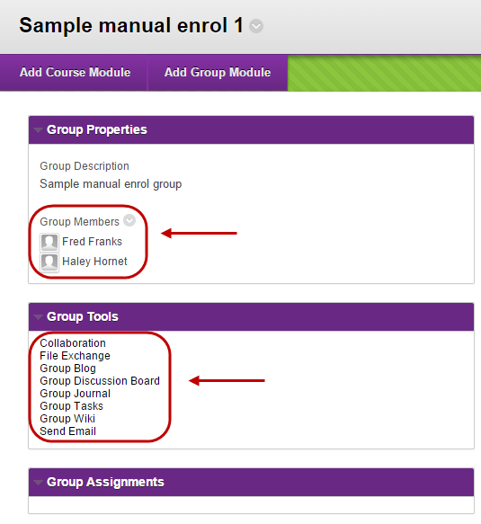 View of group members and available tools