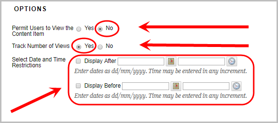Permit Users to View this Content radio button is set to no. Track Number of Views radio button set to yes. Display After and Display Before date and time fields left blank