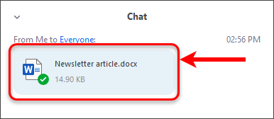 Uploaded file in chat window circled